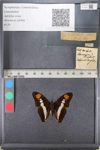 Media type: image;   Entomology 140895